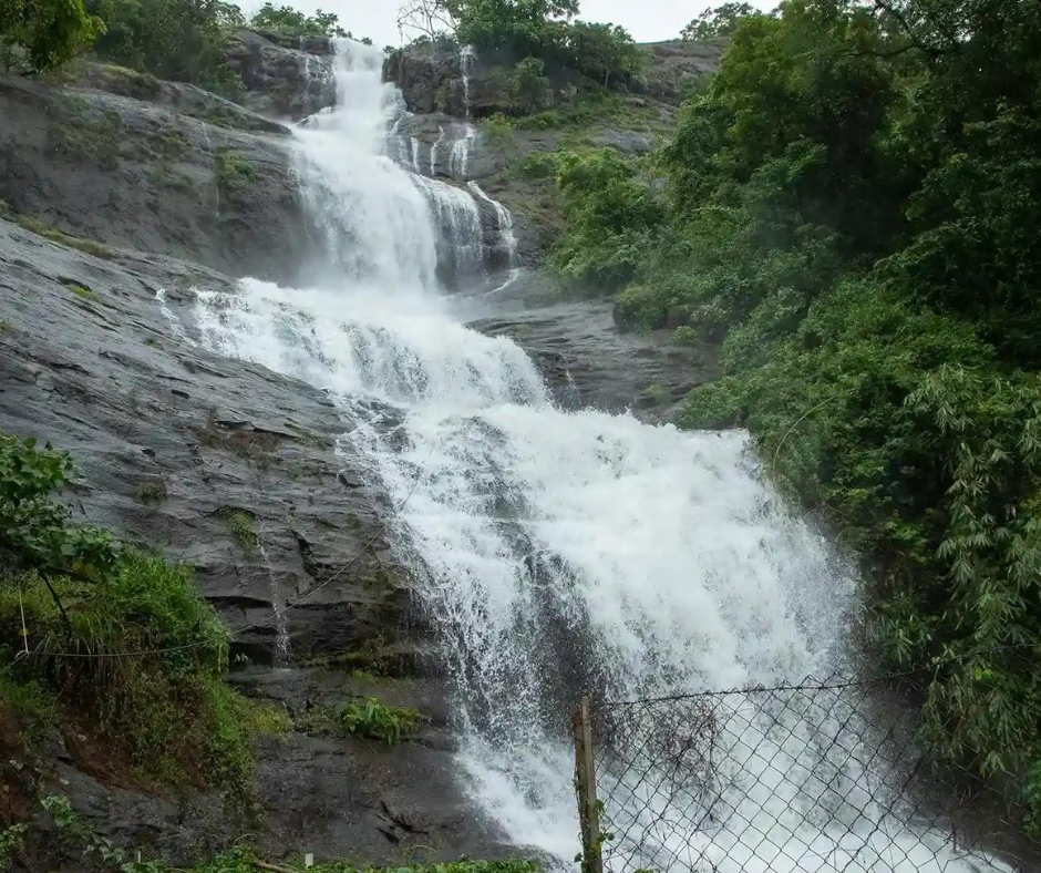   Cheeyappara Waterfalls